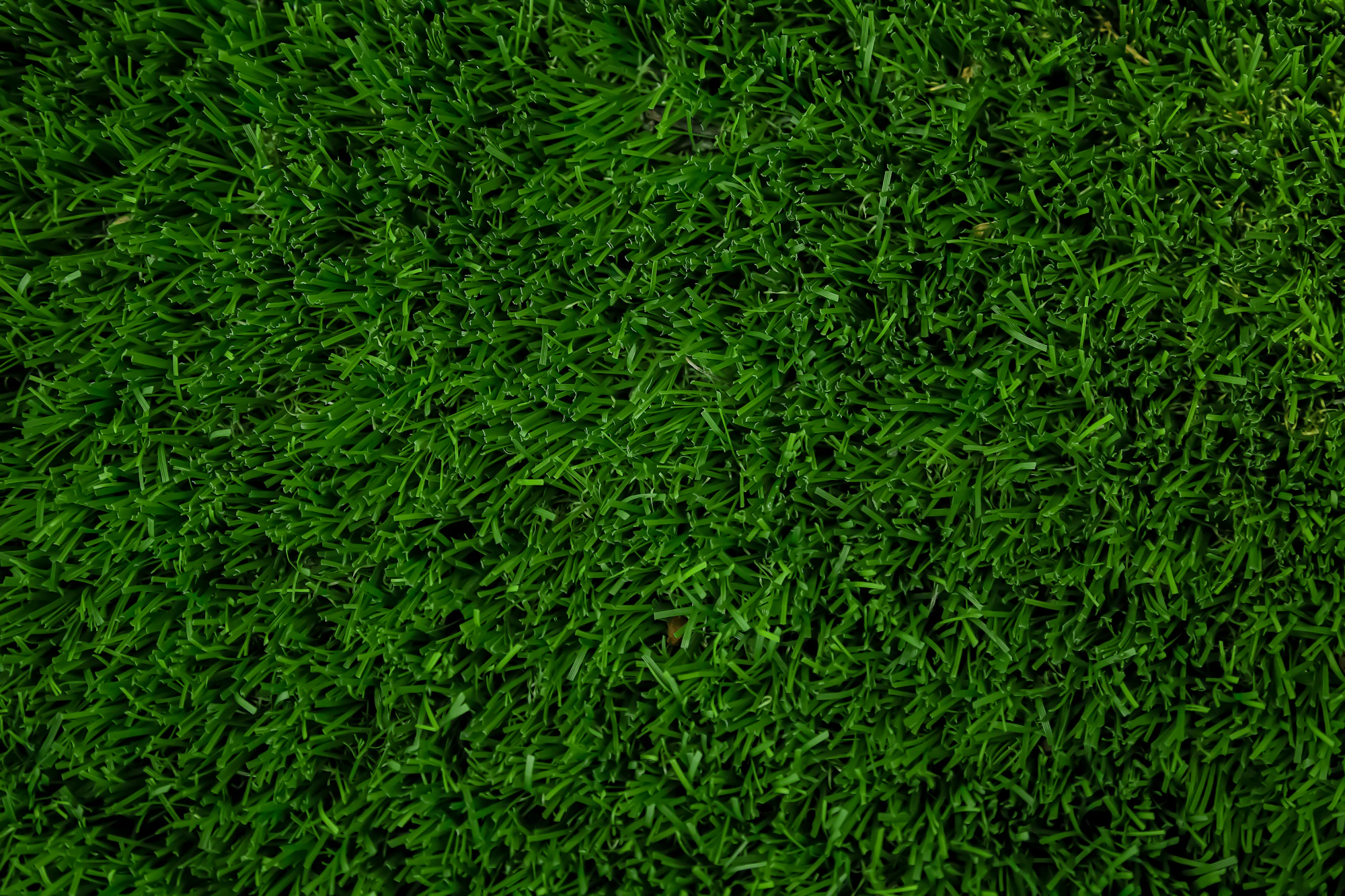 Artificial Turf Maintenance Guide for Arizona | Turf Masters