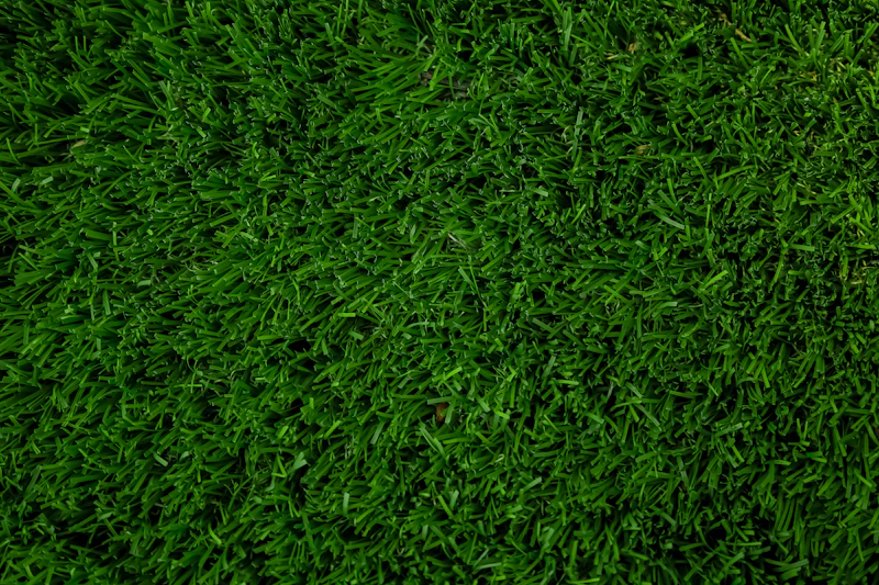 Lush, even turf up close