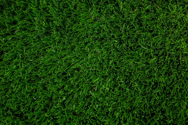 Freshly installed lush green sod