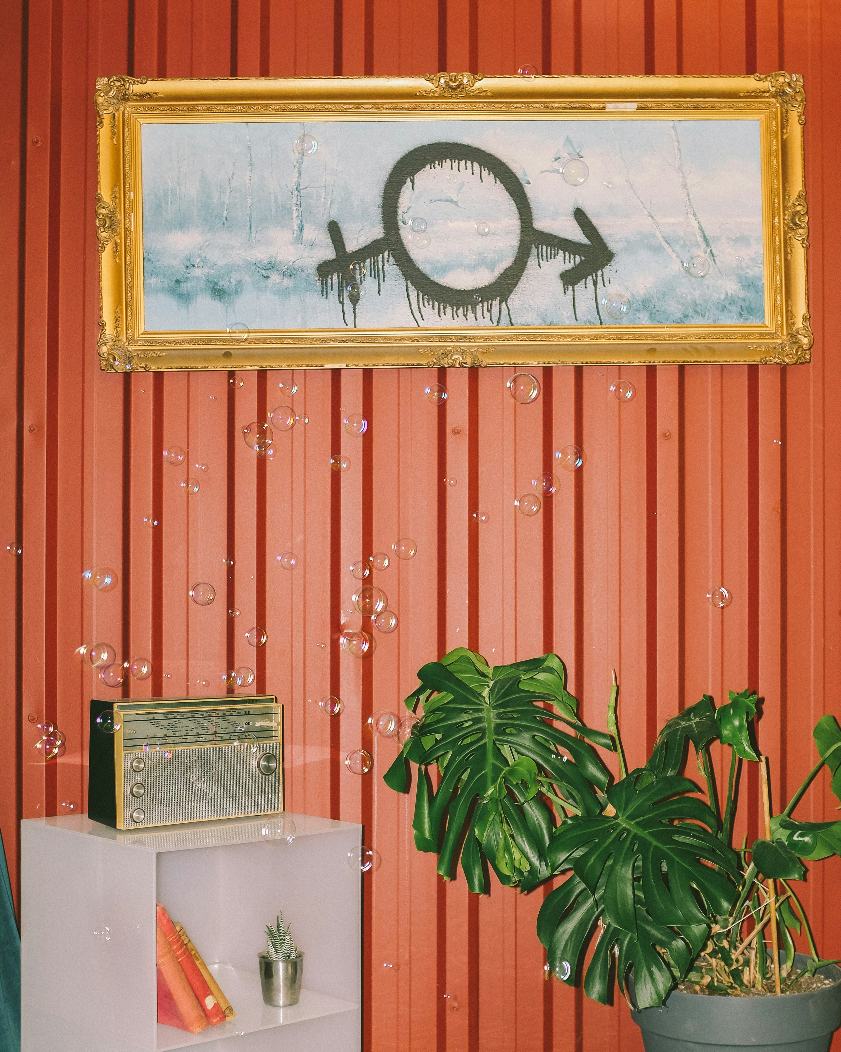 green plant beside white and brown wooden cabinet