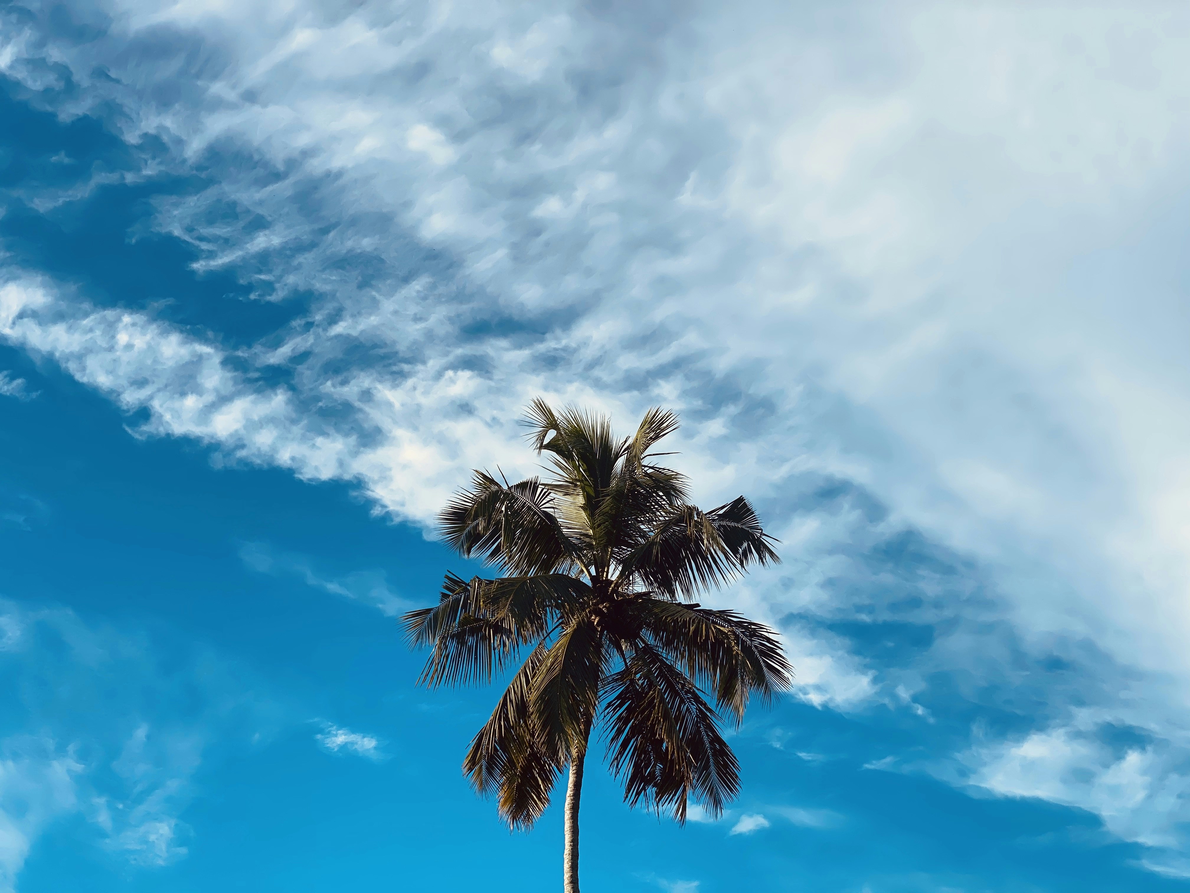 Photo by viseshvinay