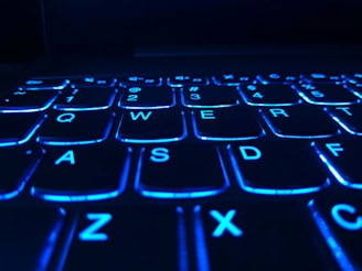 black and blue laptop computer
