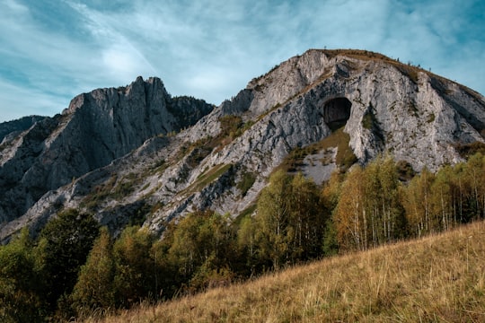 Şesul Craiului - Scăriţa Belioara things to do in Cluj