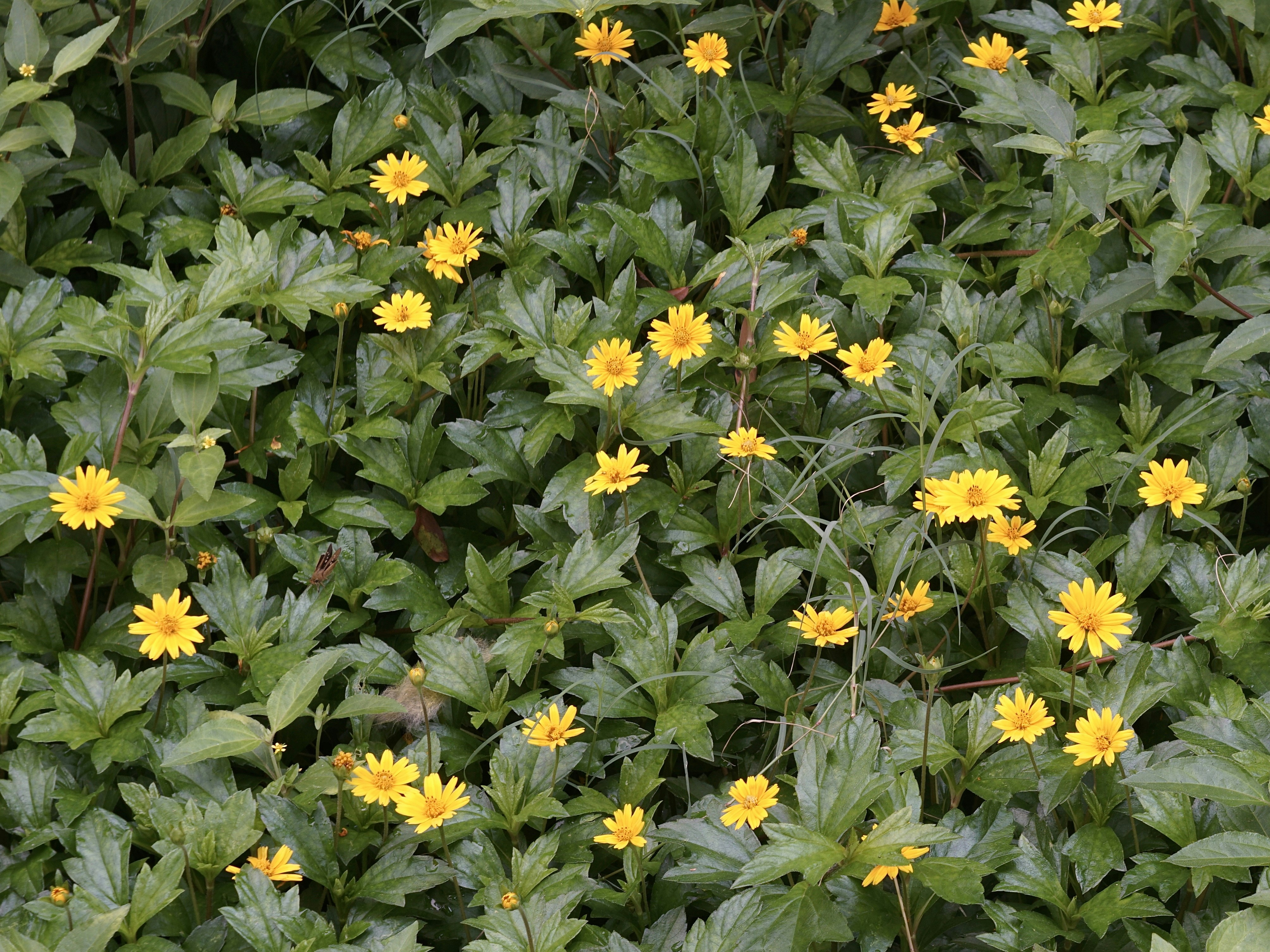 Photo by thomaskinto