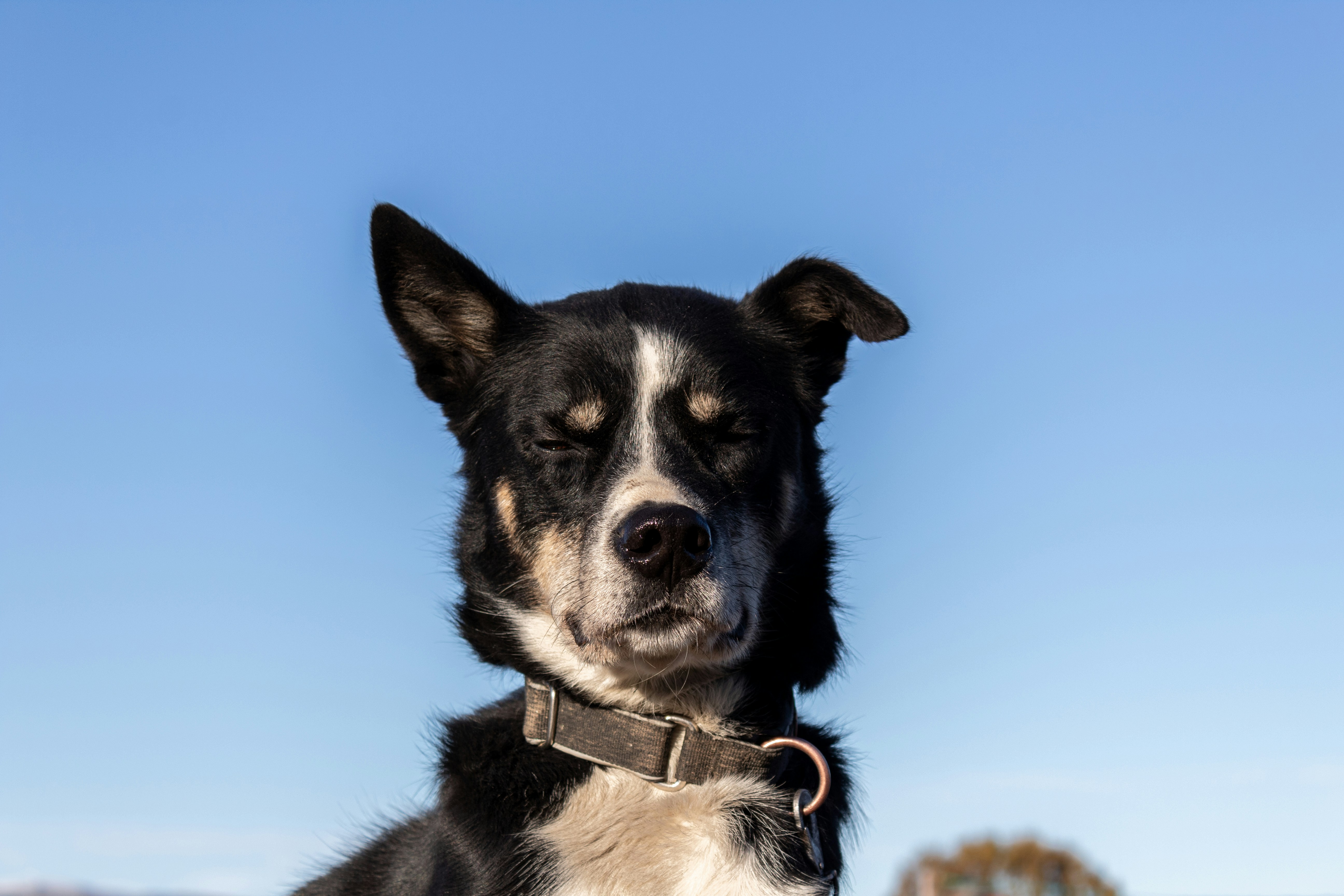 Photo by matsfjellheim