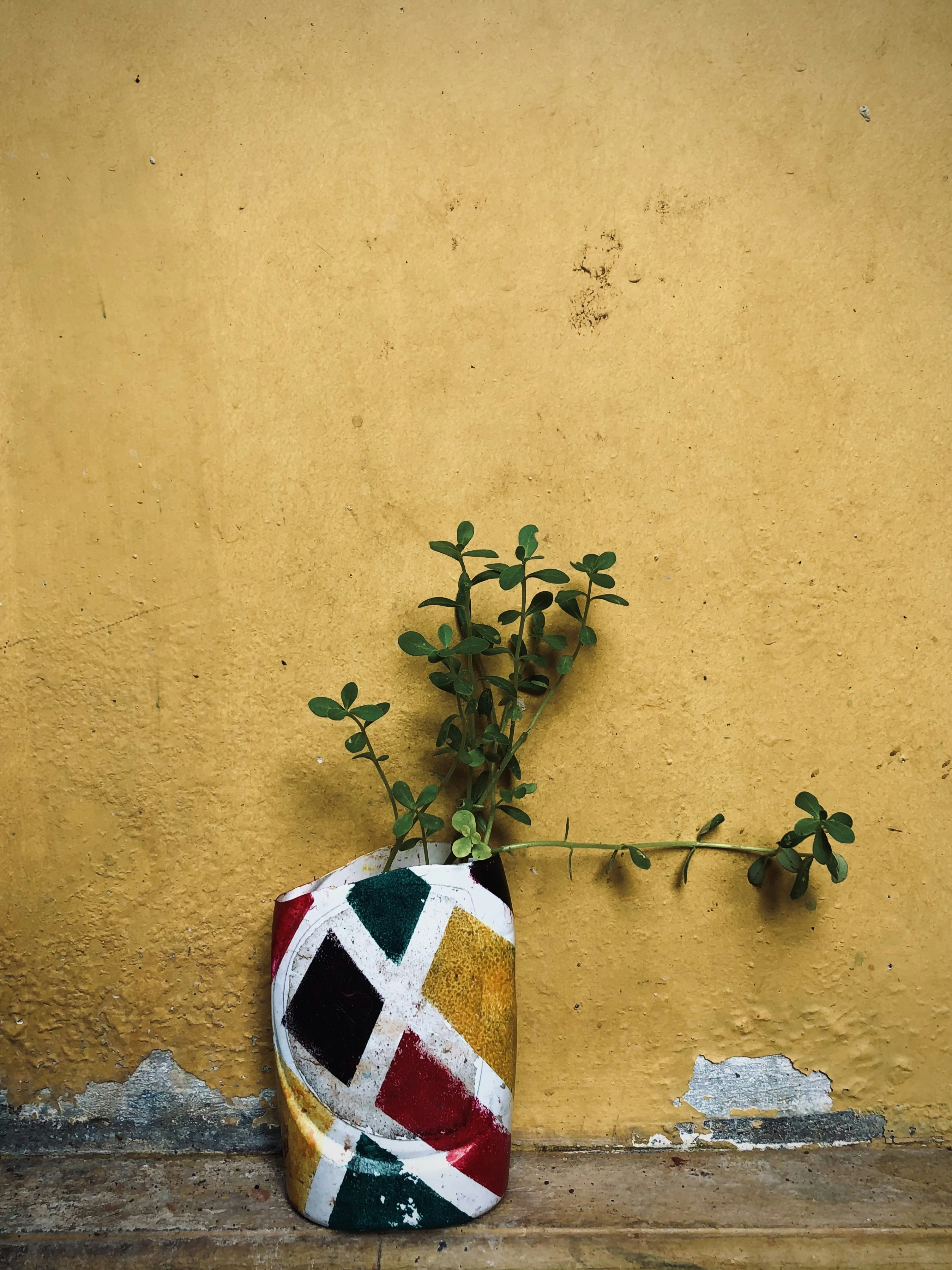 white red and blue ceramic vase