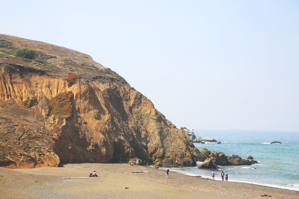 people on beach during daytime