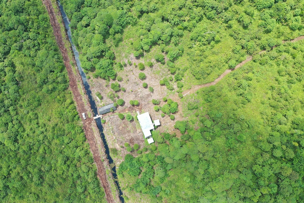 aerial view of green grass field