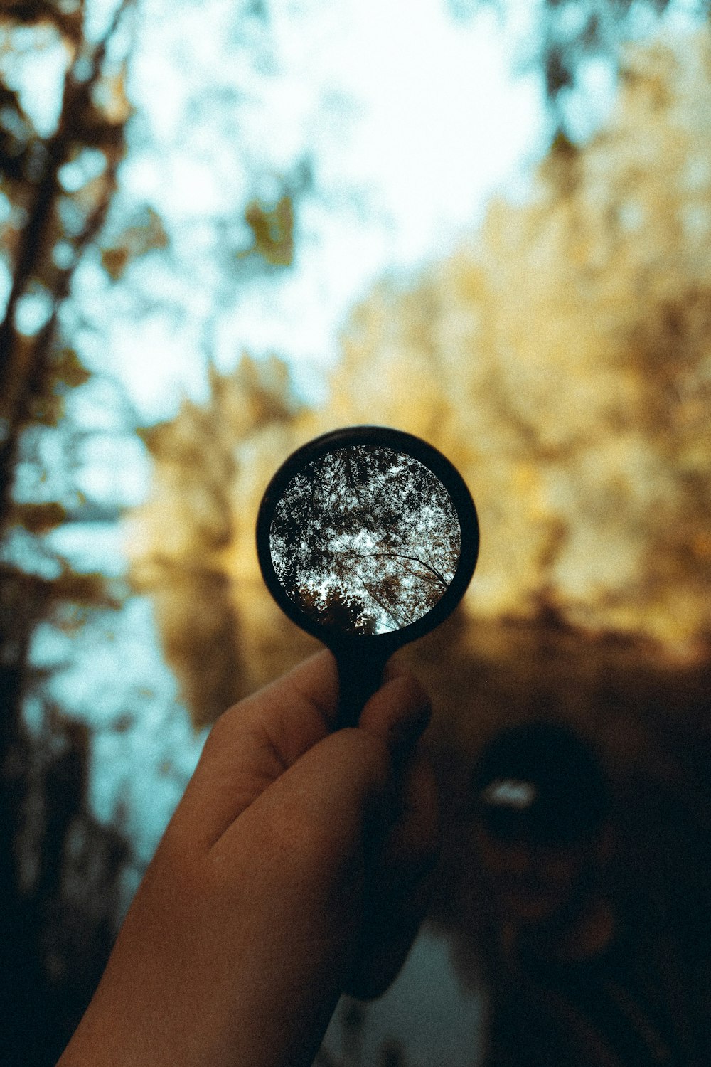 person holding magnifying glass during daytime