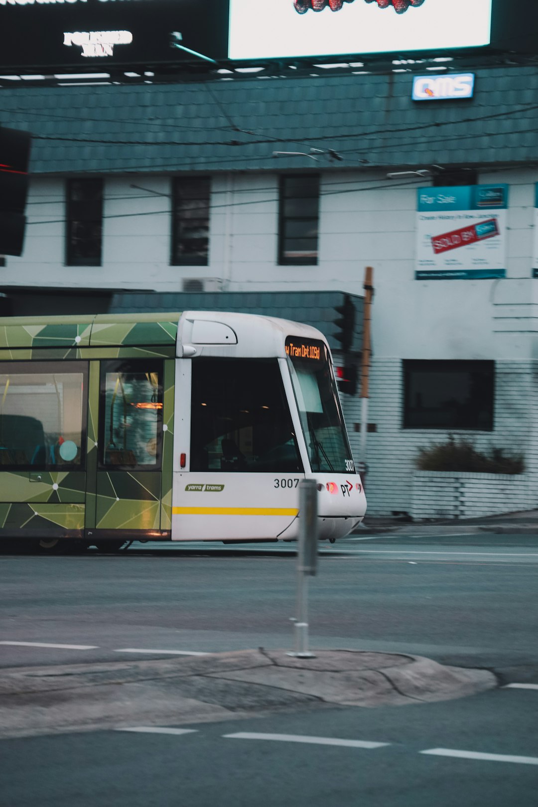 white and green bus on road during daytime