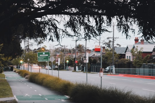 green grass field near trees and buildings during daytime in Kew VIC Australia