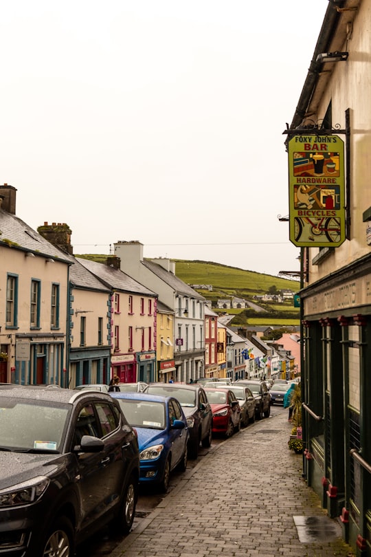 The Dingle Pub things to do in Dingle