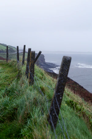 A wooden fence on green farmland near the water