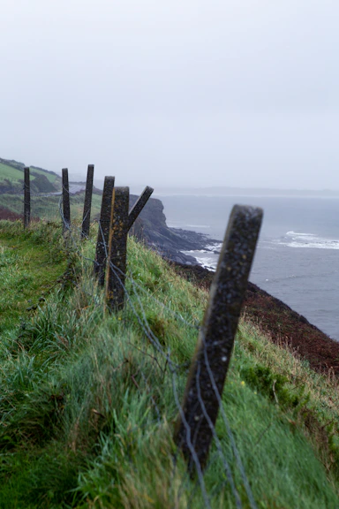 A wooden fence on green farmland near the water