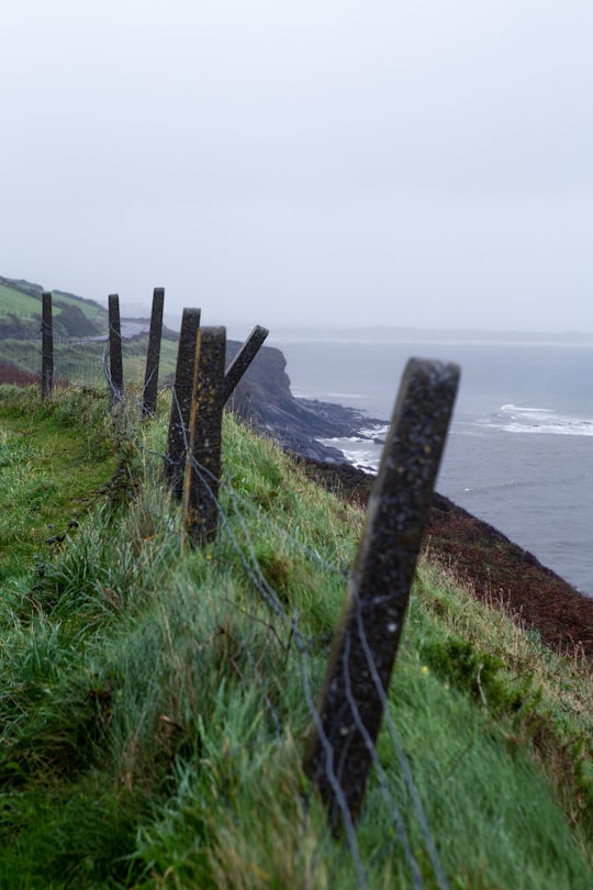 brown wooden fence on green grass near body of water during daytime in Dingle Peninsula Ireland