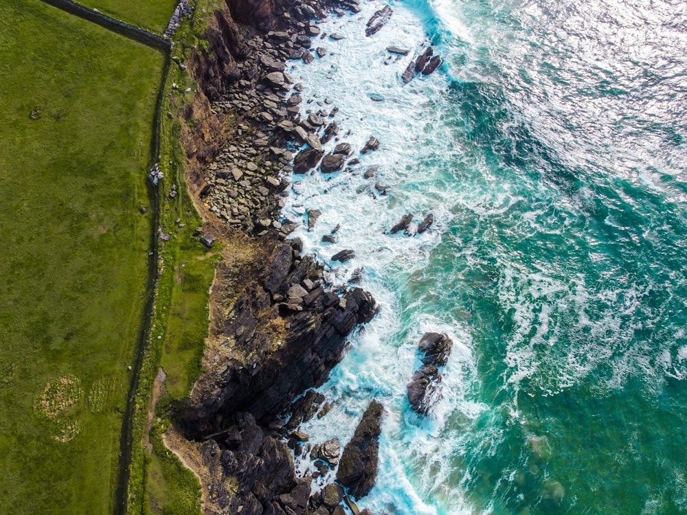 campo di erba verde vicino allo specchio d'acqua durante il giorno