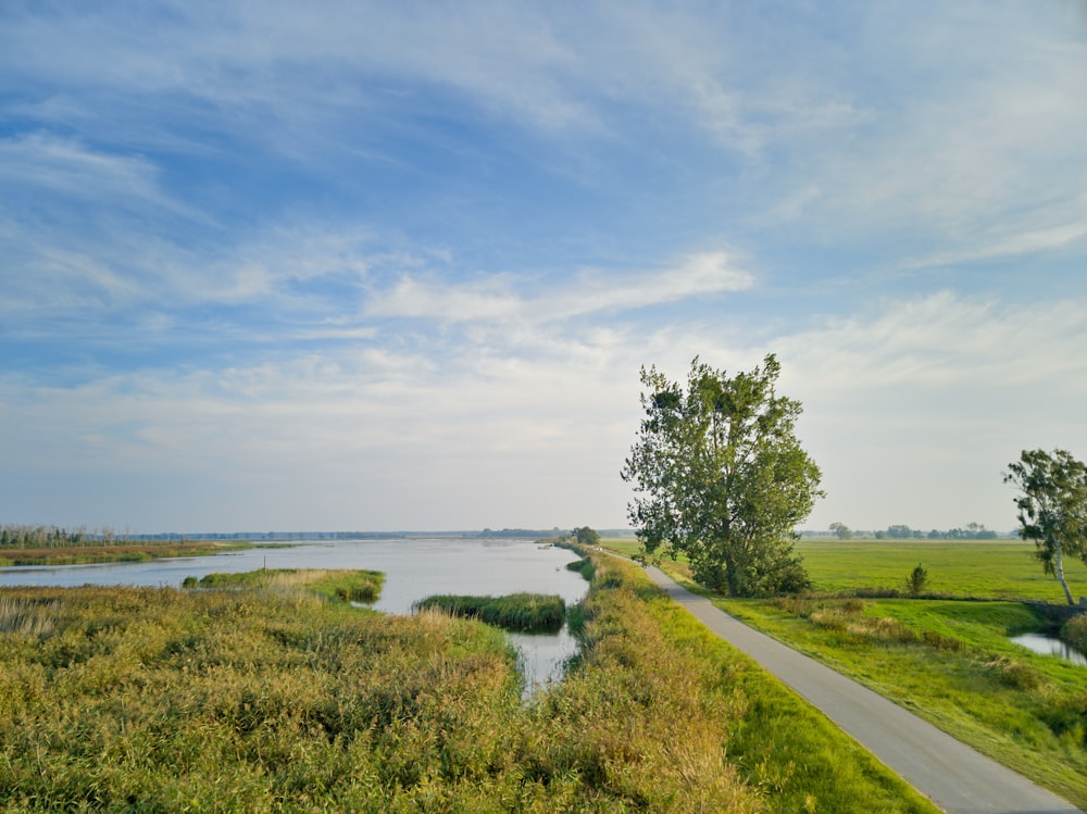 green grass field near body of water under blue sky during daytime