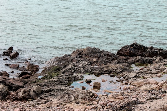 brown rocks on sea shore during daytime in Howth Ireland