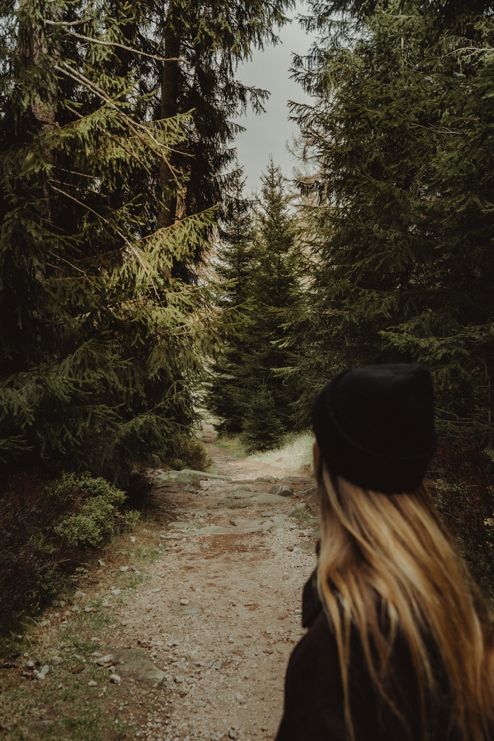 mulher no chapéu preto em pé na estrada de terra perto de pinheiros verdes durante o dia