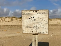 A weathered wooden sign on a sandy beach displays a line drawing of a bird near its nest, featuring eggs. The sign contains messages in Spanish reading 'No Pisar' (Do Not Step) and 'Zona Nidos' (Nesting Area), along with the word 'Gracias' (Thank You). The background shows an out-of-focus shoreline with sparse vegetation under a partly cloudy sky.