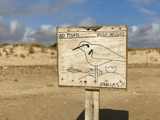 white and black wooden signage in Zahara de los Atunes Spain