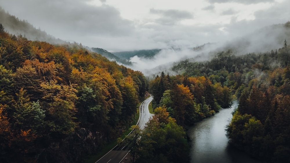 green trees near road under cloudy sky during daytime