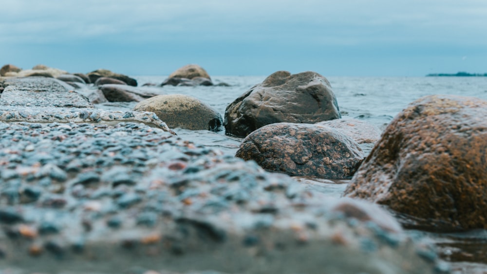 gray and brown rocks on seashore during daytime