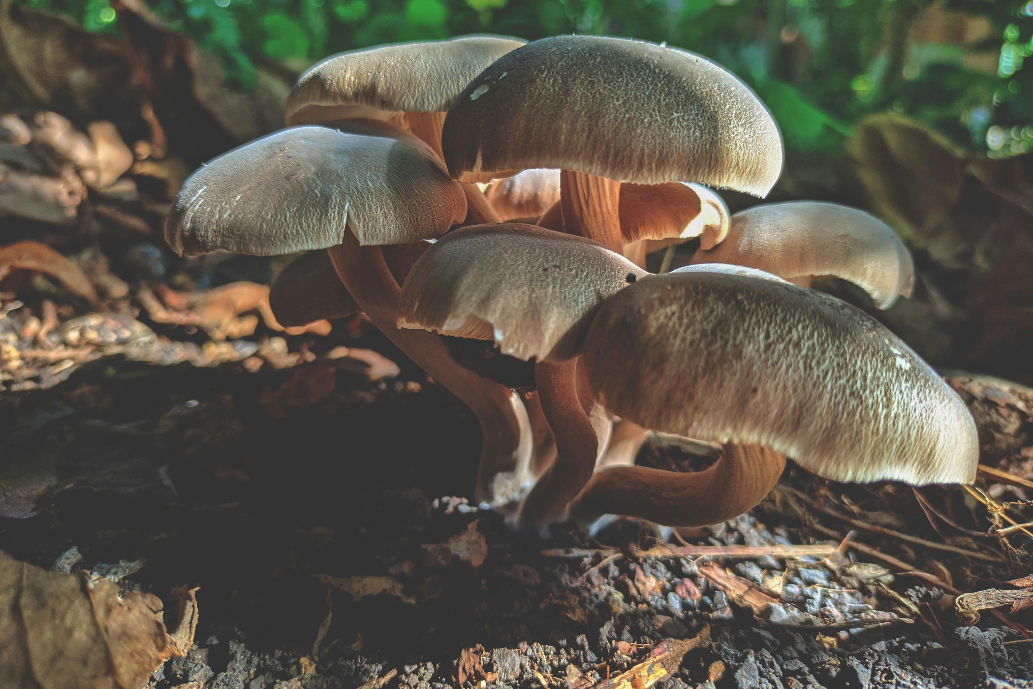 Photo by adityashetty