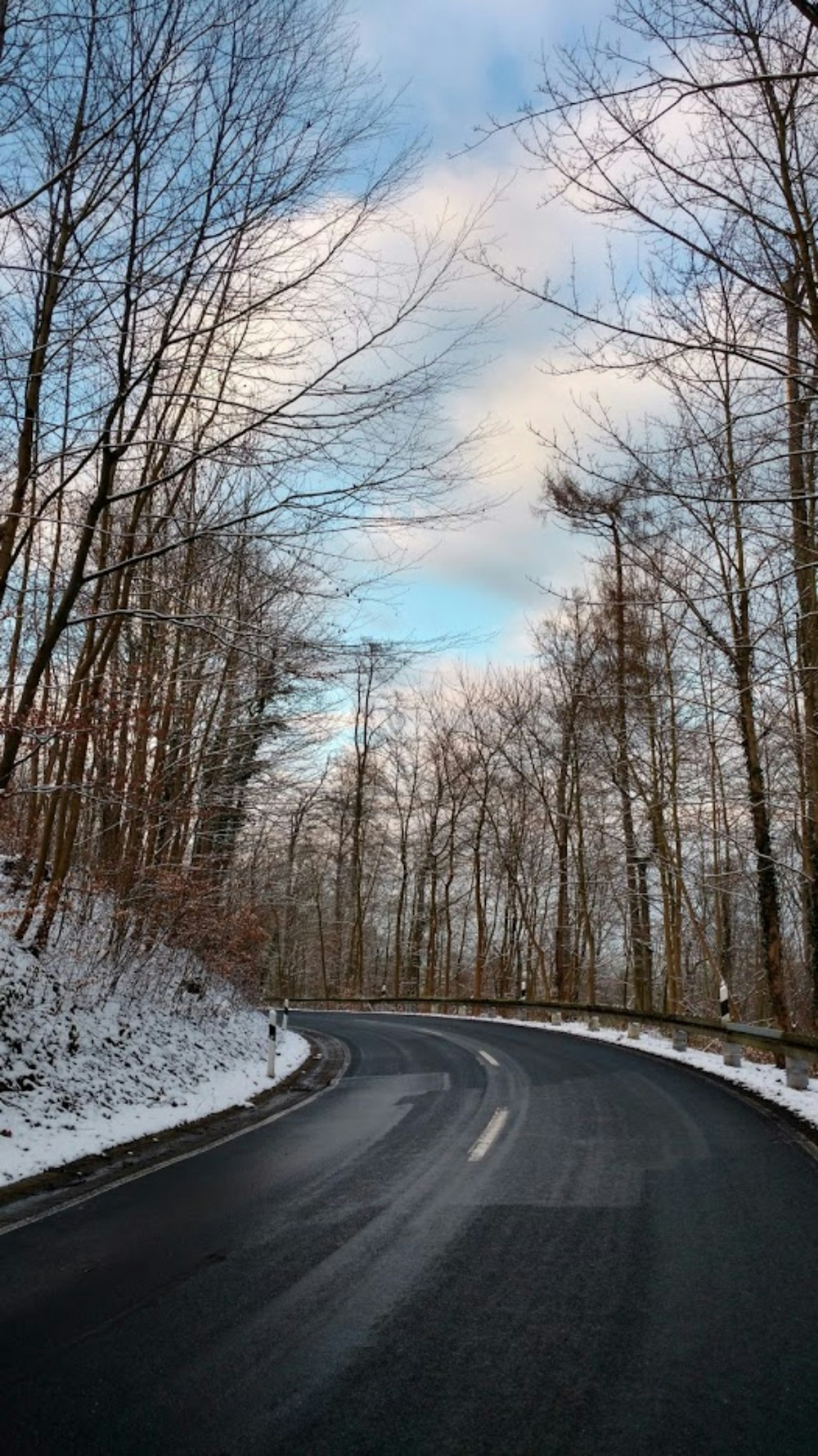estrada cinzenta entre árvores nuas durante o dia
