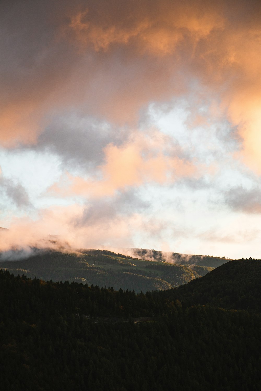 green trees on mountain under cloudy sky during daytime