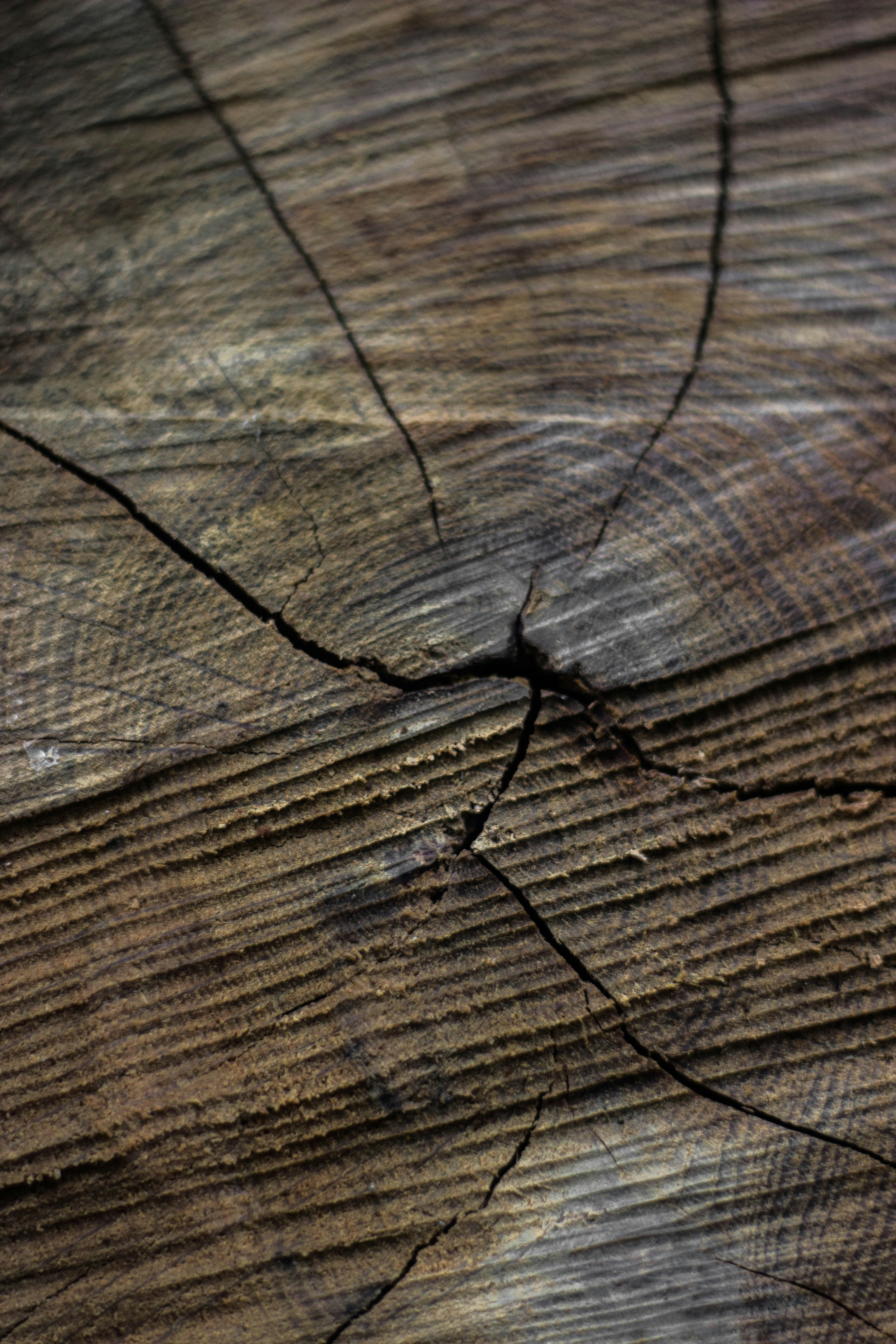 brown and black wooden surface