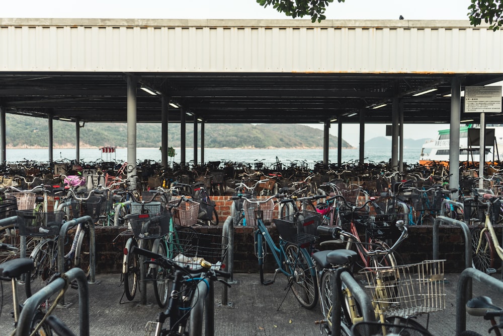 Bicicletas estacionadas en el estacionamiento durante el día