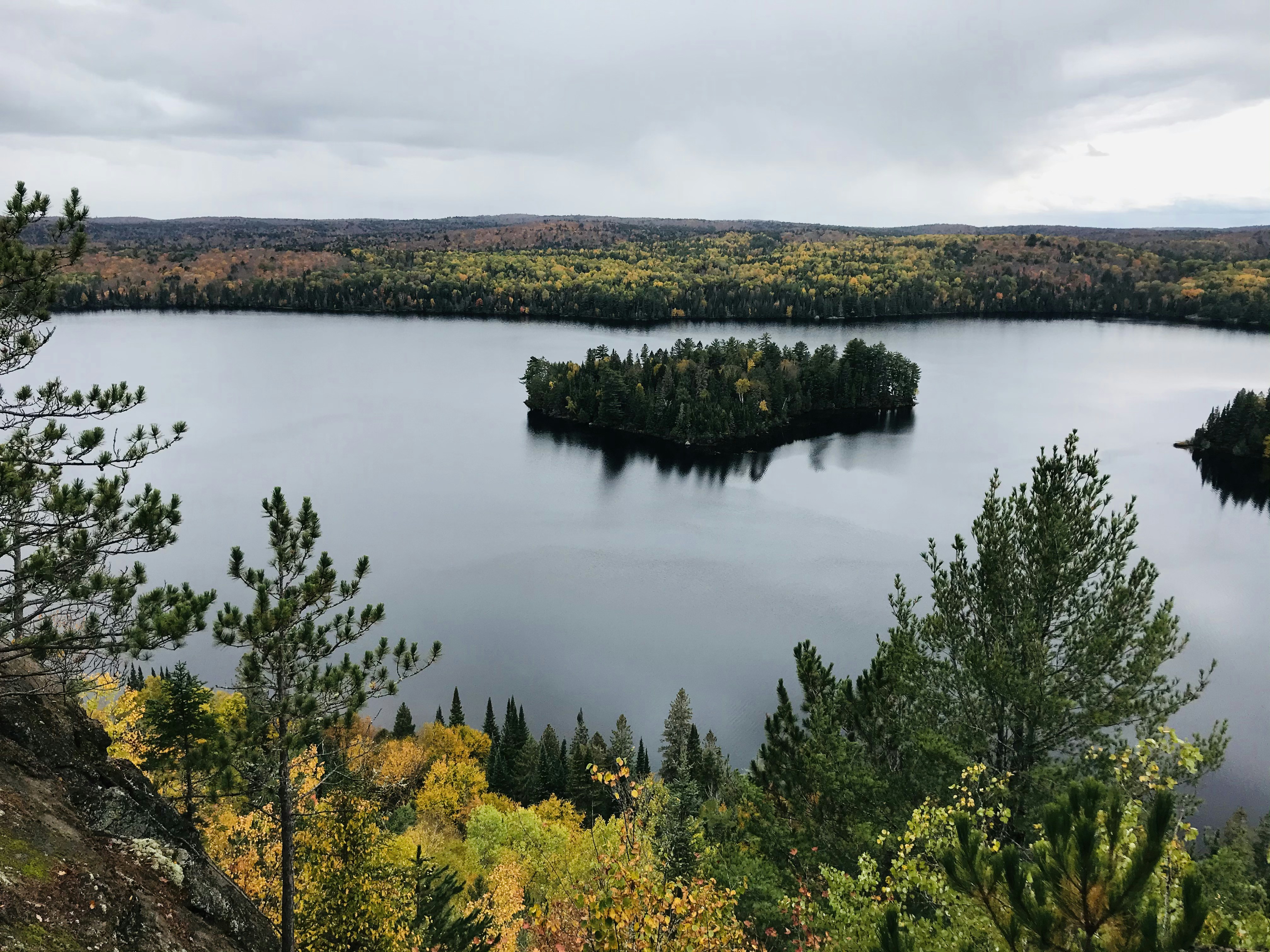 昼間の曇り空の下、湖畔の緑の木々