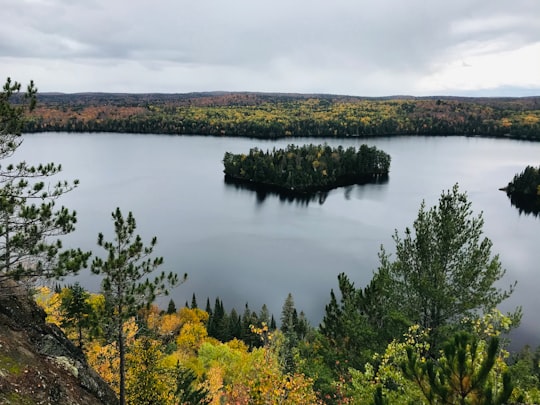 green trees beside lake under cloudy sky during daytime in Algonquin Provincial Park Canada