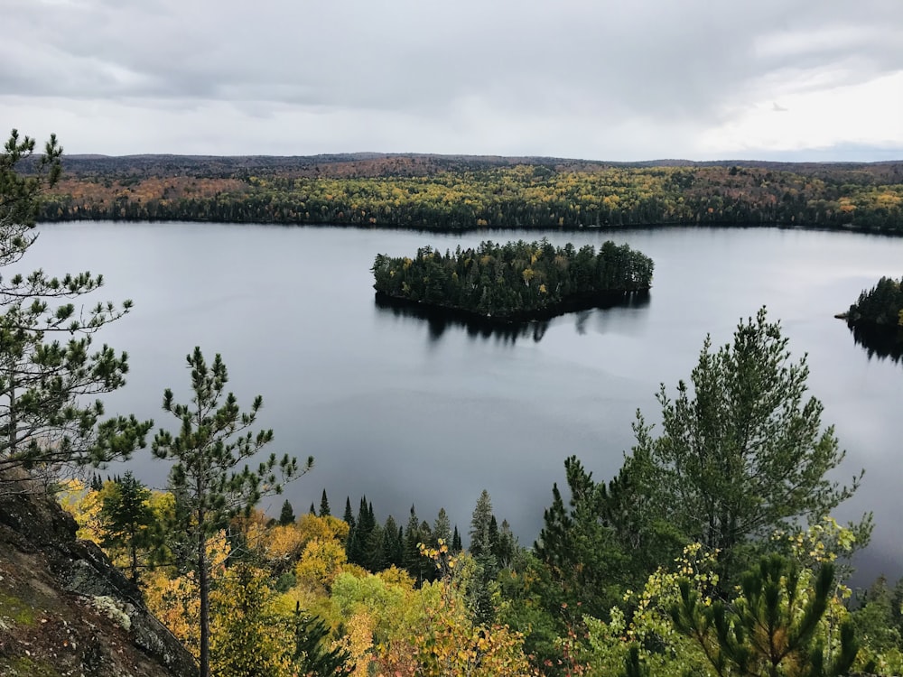 green trees beside lake under cloudy sky during daytime