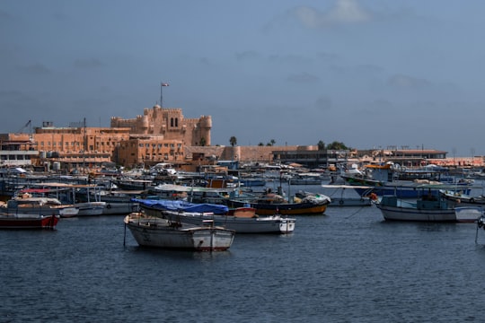 white and blue boat on water near city buildings during daytime in Alexandria Egypt