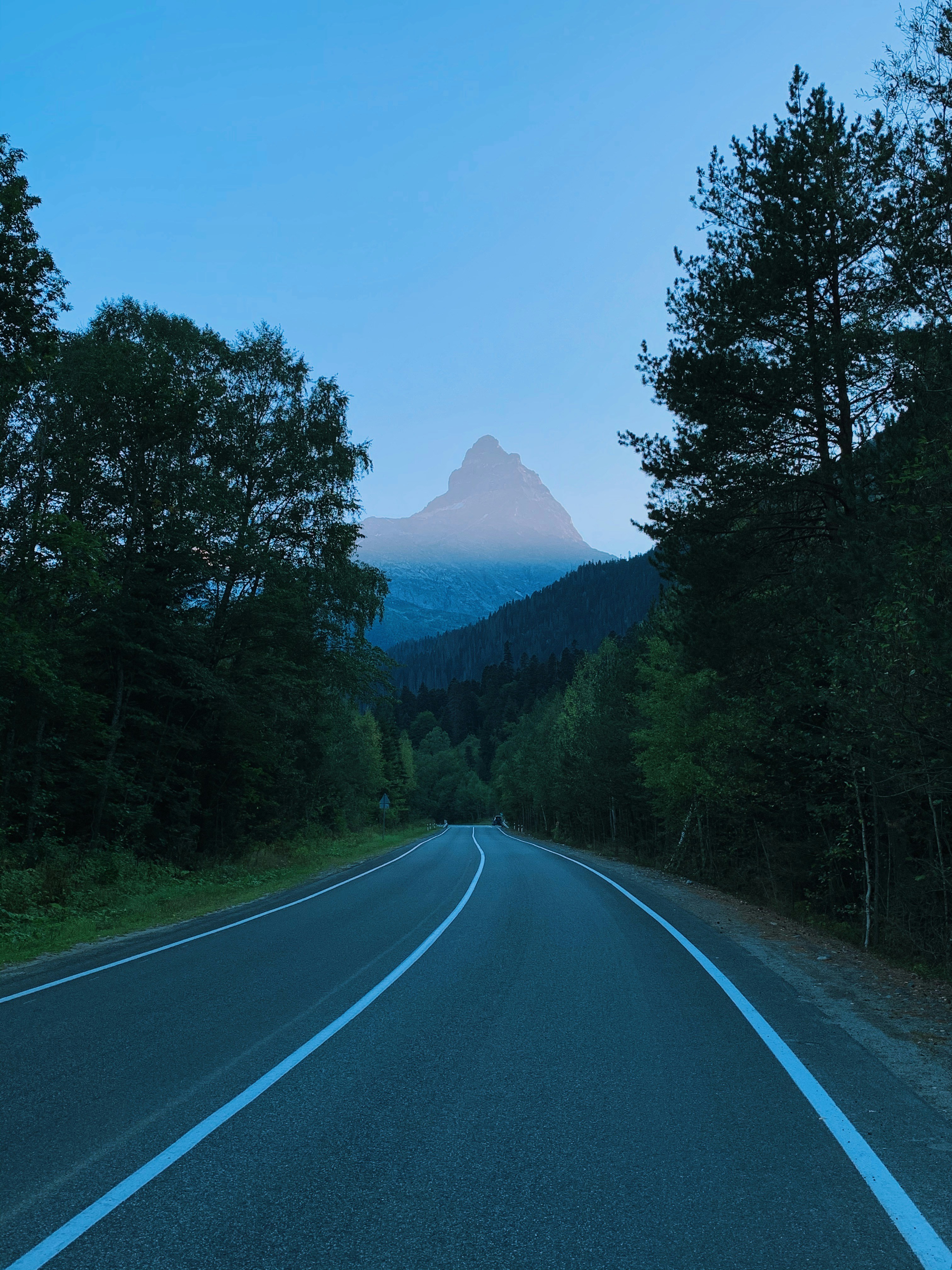 Camino de hormigón gris entre árboles verdes bajo el cielo azul durante el día
