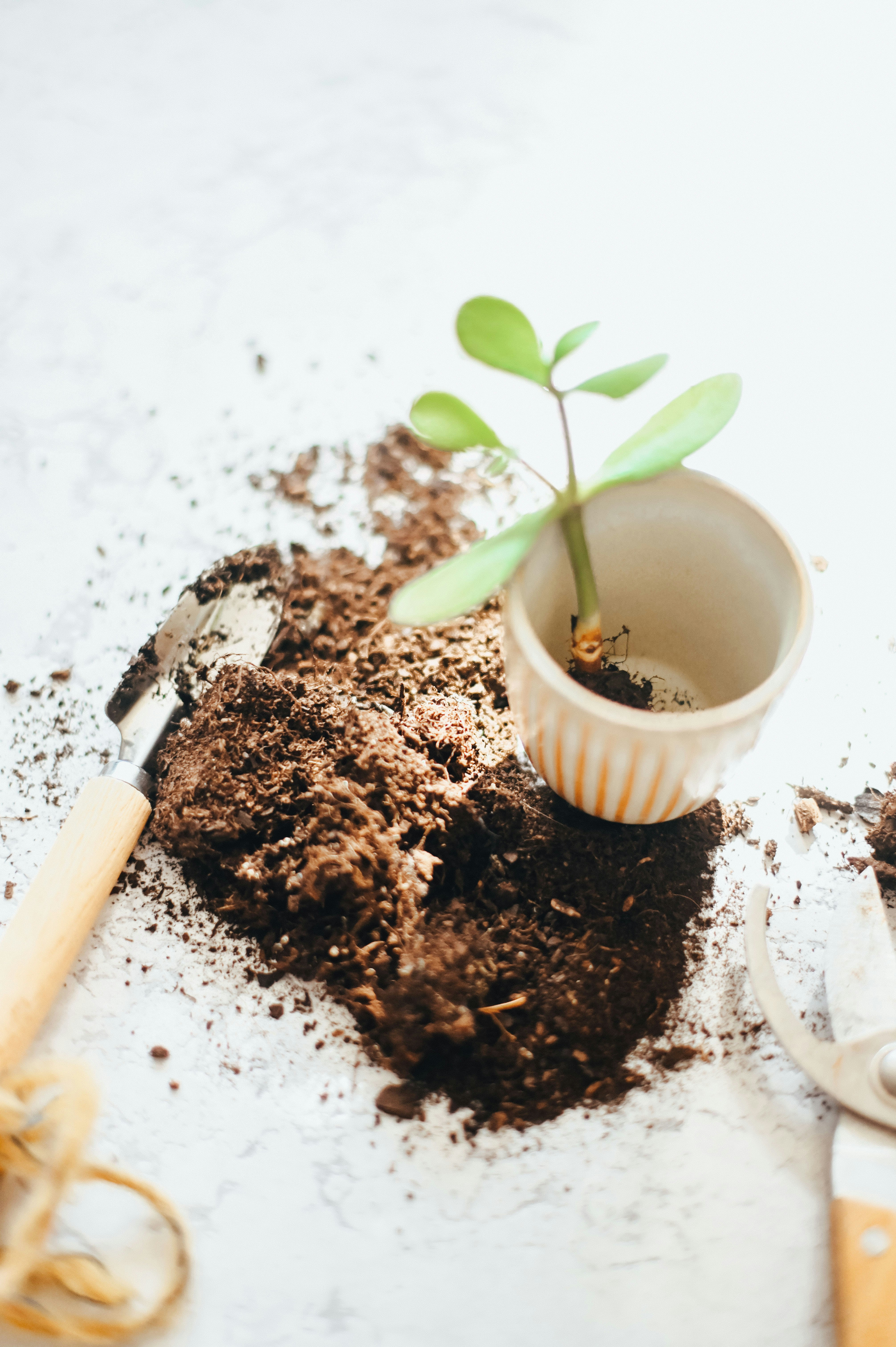 Photo by gaellemarcel