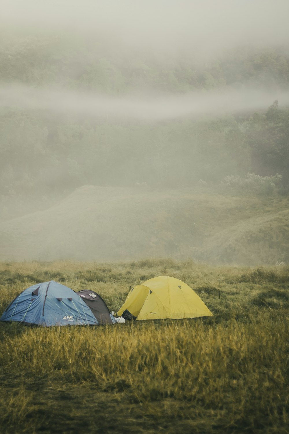 white dome tent on green grass field during foggy weather