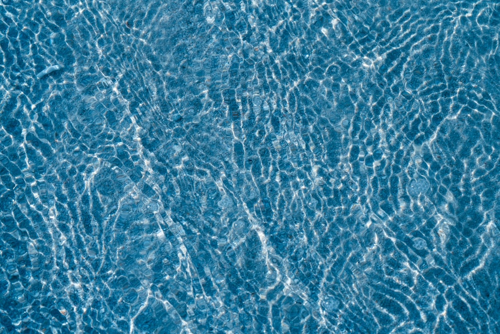 blue and white water surface