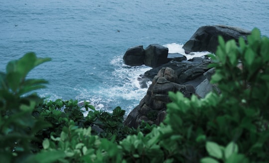 green grass near body of water during daytime in Sanya China