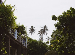 A serene tropical setting with a villa and lush greenery.