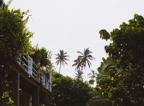A serene tropical setting with a villa and lush greenery.