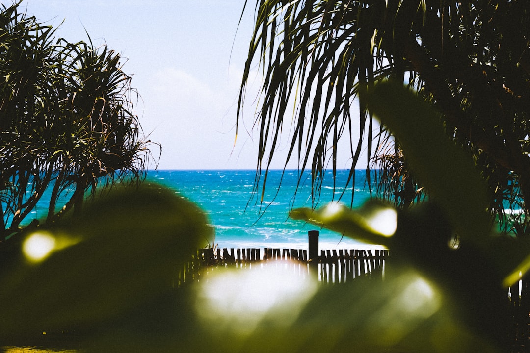 Tropics photo spot Soul Resorts Secret Beach Mirissa