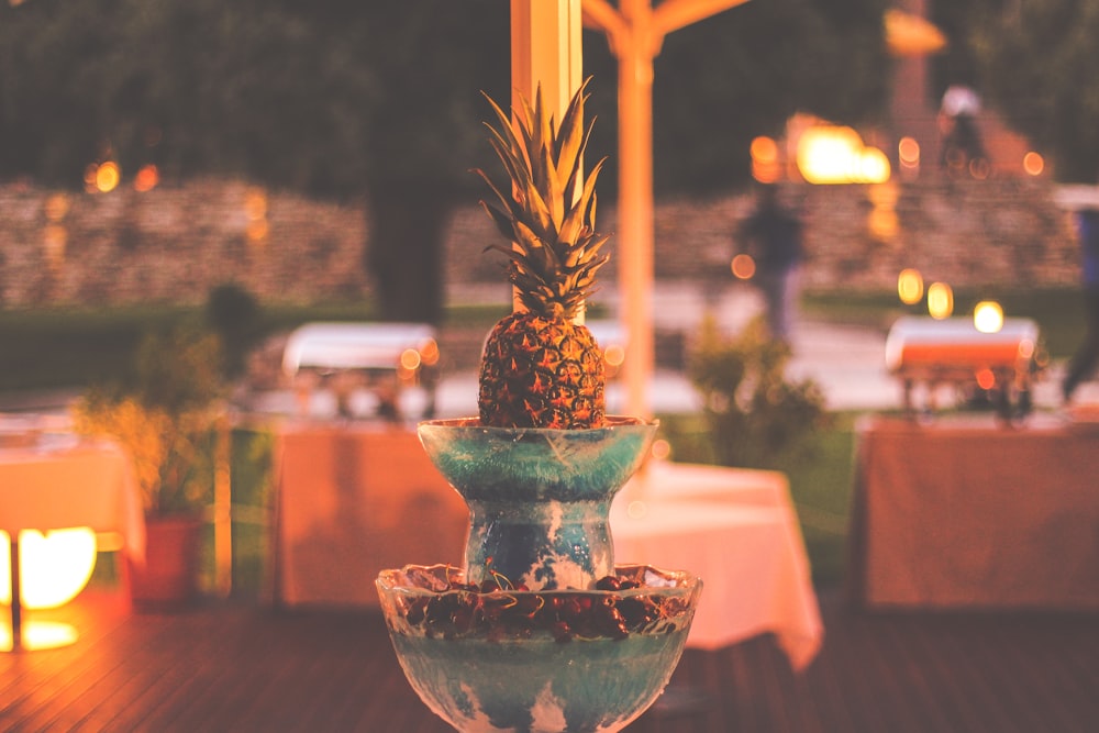 green and brown plant on blue ceramic vase