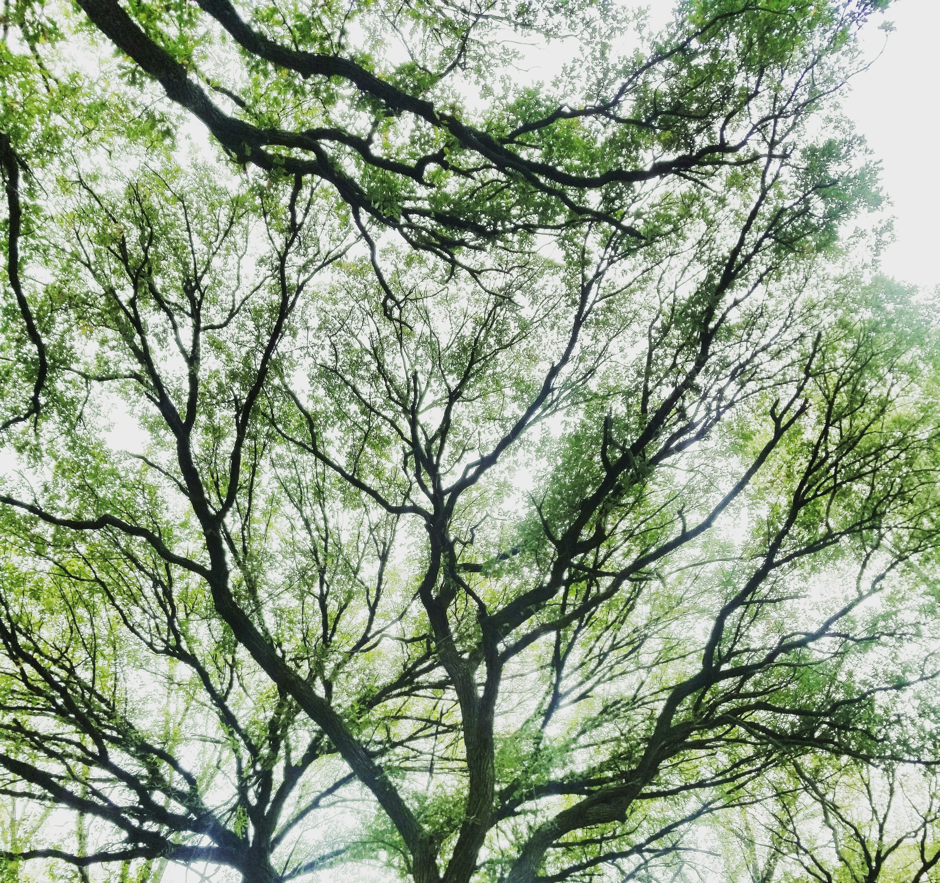 Photo by kimberlyeschenbauchphotography