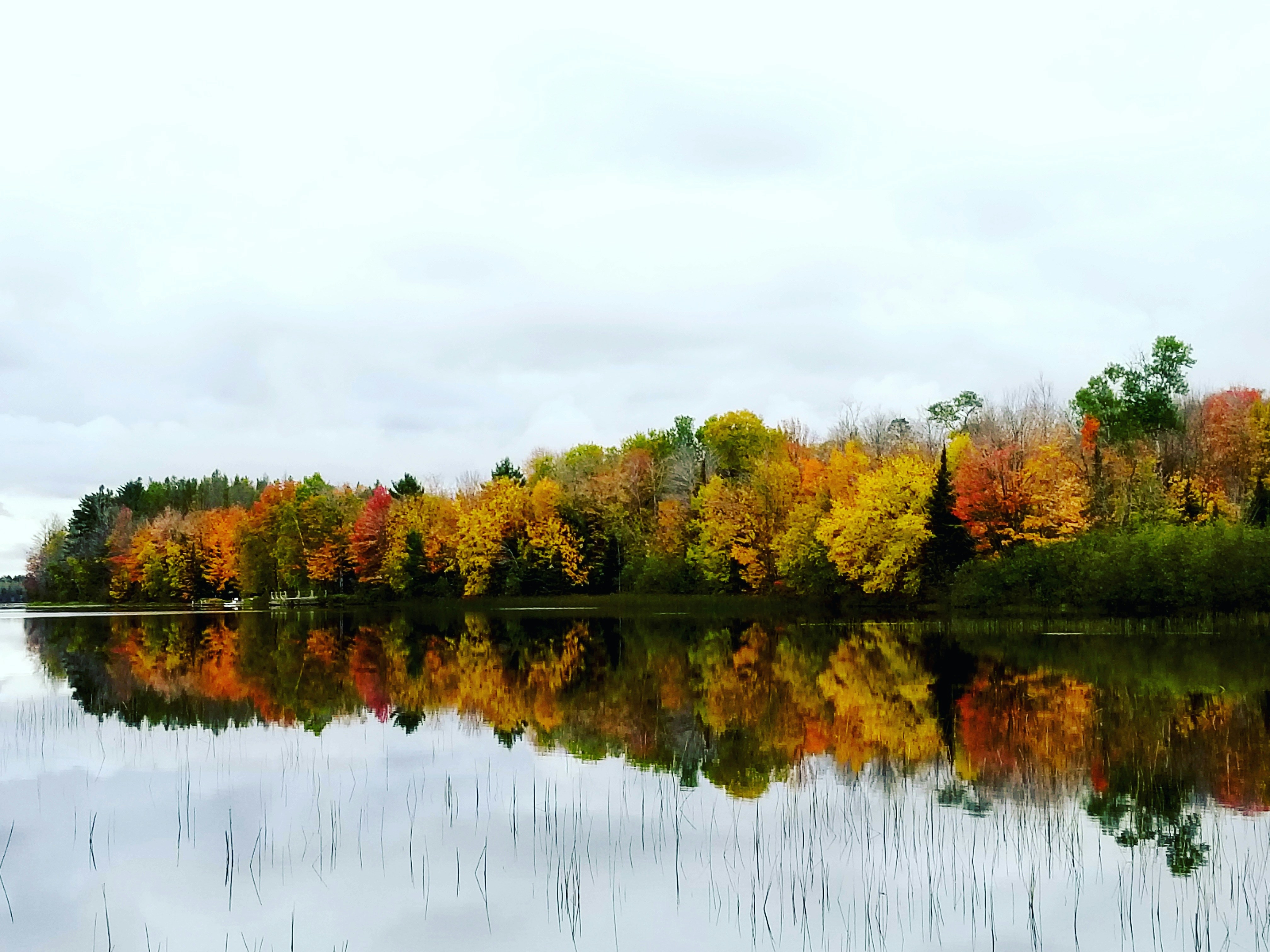 Photo by kimberlyeschenbauchphotography