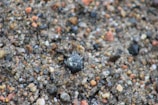 A photo featuring white and mixed sand used in construction.