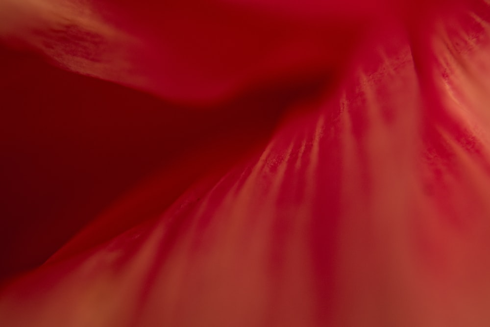 red textile in close up photography