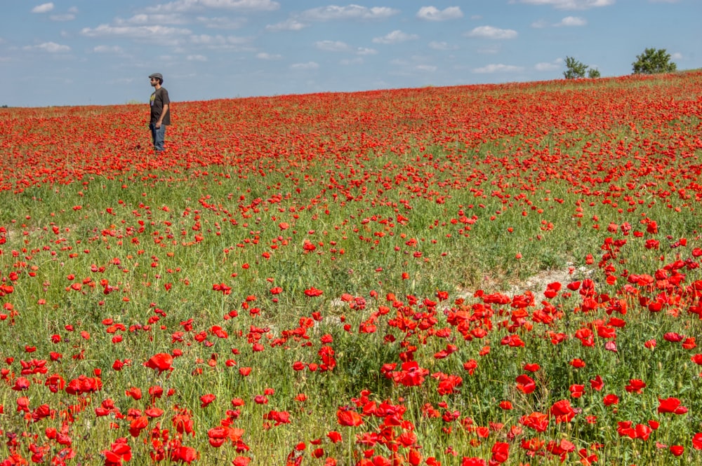 man in black jacket walking on red flower field during daytime